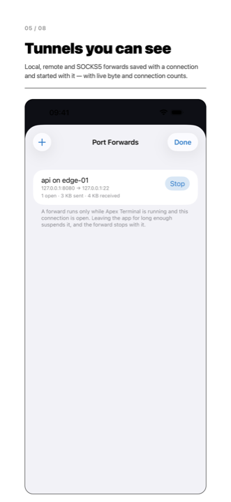 A list of port forwarding rules, each showing bytes moved and connections carried.