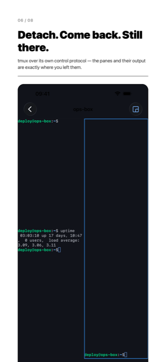 A tmux session with its windows listed and its panes drawn as tmux arranged them.