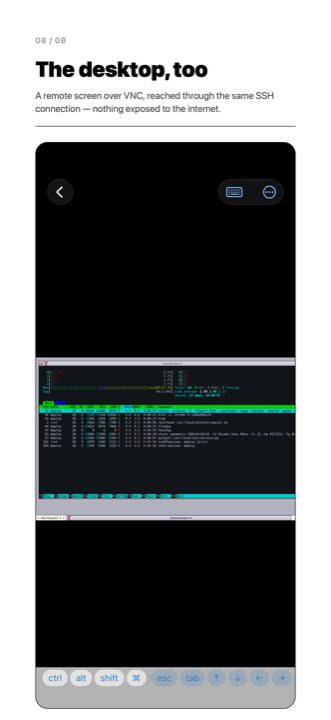 A remote desktop drawn over VNC inside the app.