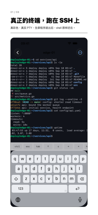 一台 iPhone 上的 SSH 终端会话：shell 提示符、带颜色的 ls 输出，以及一个正在重绘屏幕的程序。