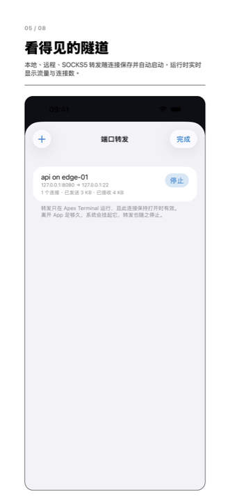 端口转发规则列表，每条都显示搬运的字节数与承载的连接数。