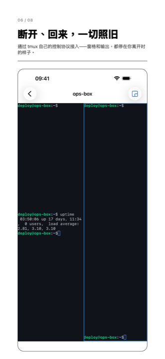 一个 tmux 会话，窗口列在一旁，窗格按 tmux 自己的布局绘出。