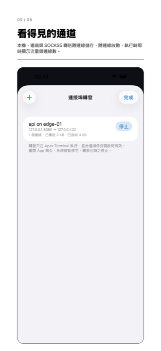 連接埠轉發規則列表，每條都顯示搬運的位元組數與承載的連線數。