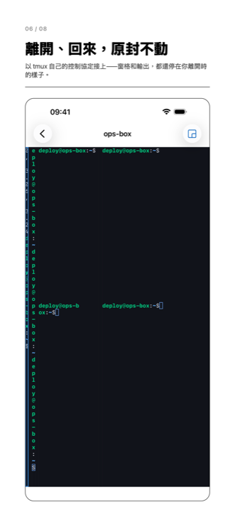 一個 tmux 工作階段，視窗列在一旁，分割區依 tmux 自己的配置繪出。